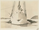 Image of Bow of the Bowdoin, melting out of winter quarters